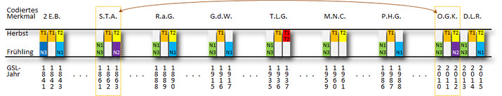 Ein l&auml;ngliches Diagramm zeigt eine Reihe von vertikalen Balken, die in verschiedenen Farben von Gelb, Blau, Rot und Gr&uuml;n gef&auml;rbt sind. Jeder Balken ist mit kurzen Buchstabenkombinationen und numerischen Werten in regelm&auml;&szlig;igen Abst&auml;nden markiert. Die oberen Beschriftungen des Diagramms deuten auf verschiedene Zeitr&auml;ume wie Herbst und Fr&uuml;hling hin, unterbrochen von spezifischen Abschnitten, die durch Initialen gekennzeichnet sind.
