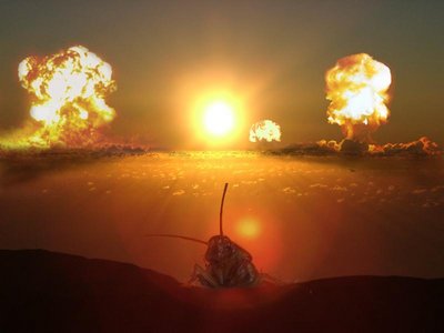 Ein Bild eines K&auml;fers auf einem Felsen, der auf einen atemberaubenden Sonnenaufgang &uuml;ber einem nebligen Horizont blickt, umgeben von drei gro&szlig;en, explosiven Lichterscheinungen im Himmel.