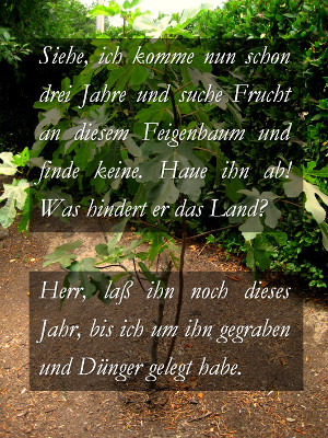 Ein Bild eines Gartens mit einem Schild im Vordergrund, das einen Bibeltext in deutscher Sprache zeigt. Im Hintergrund sind gr&uuml;ne B&uuml;sche und Pflanzen.