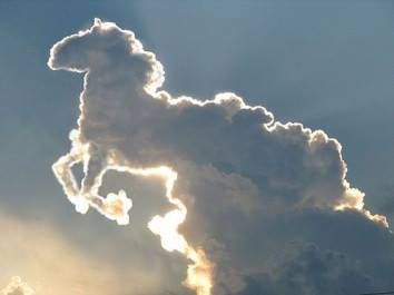Wolke, die bemerkenswert die Form eines Lammes angenommen hat, steht im Kontrast vor einem hell beleuchteten Himmel w&auml;hrend des Sonnenuntergangs.