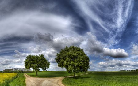 Dynamische Ansicht einer l&auml;ndlichen Szene mit einer gewundenen Schotterstra&szlig;e, die sich zwischen gr&uuml;nen Feldern und zwei &uuml;ppigen B&auml;umen hindurchschl&auml;ngelt. Der ausgedehnte Himmel dar&uuml;ber ist mit dramatischen Wolkenformationen bedeckt.