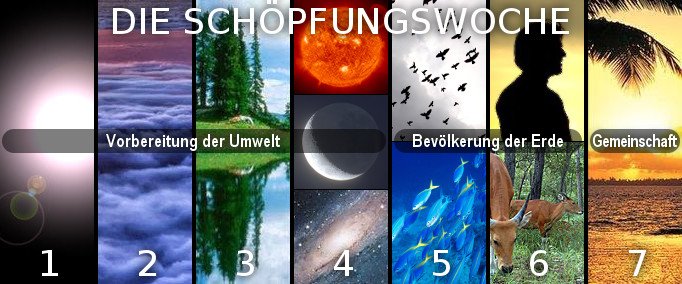 Grafische Darstellung einer Woche der Sch&ouml;pfung mit sieben Bildpanelen. Panel 1 zeigt kosmische Formationen, Panel 2 eine idyllische Waldlandschaft, Panel 3 einen See unter Wolken, Panel 4 die Sonne im Weltraum, Panel 5 einen Schwarm V&ouml;gel im Flug, Panel 6 eine Gruppe von Fischen im Meer, und Panel 7 eine Silhouette eines Menschen vor einem Baum und Sonnenuntergang. Oben steht &bdquo;DIE SCH&Ouml;PFUNGSWOCHE&ldquo; mit Tags wie Vorbreitung der Umwelt, Bev&ouml;lkerung der Erde und Gemeinschaft.