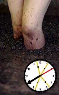 Ein Bild zeigt die unteren Beine einer Person mit einer Uhr, die den Hintergrund eines gemischten Weges untersuchen. Die Uhr weist auf etwa viertel nach zehn hin.