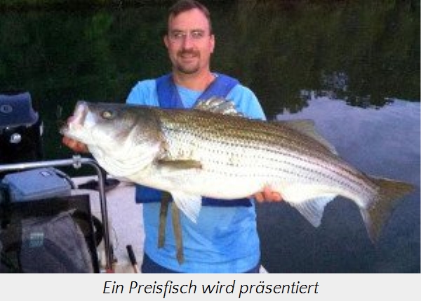 Ein Mann in einem blauen Hemd h&auml;lt einen gro&szlig;en Fisch an einem See. Im Hintergrund ist das Ufer und eine Bootsmotor zu sehen.