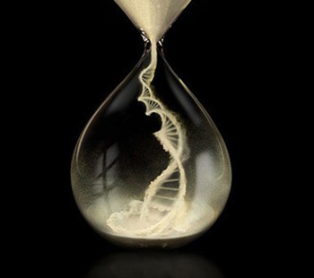 Eine Sanduhr zeigt eine spiralf&ouml;rmige DNA-Struktur, vermischt mit sandigen Schattierungen in einem durchsichtigen Gef&auml;&szlig; vor einem schwarzen Hintergrund.