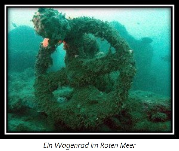 Unterwasserbild eines mit Algen bedeckten Objekts, das eine Form &auml;hnlich dem Mazzaroth-Symbol f&uuml;r den Krebs zeigt, an einem dunklen, mystischen Ort im Roten Meer.