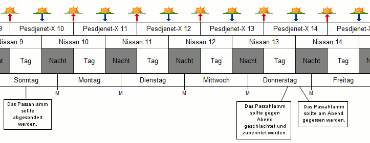 Grafik mit einer Tabelle, die eine Zeitleiste von Nissan 9 bis Nissan 14 darstellt. Jeder Tag ist in Tag und Nacht unterteilt, mit speziellen Anweisungen zum Passahlamm, das an bestimmten Tagen abgesondert und zubereitet werden sollte. Die Tage der Woche von Sonntag bis Freitag sind unterhalb der Daten markiert.
