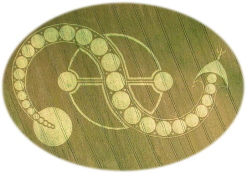 Ein komplexes geometrisches Muster in einem Kornfeld. Die Struktur ist kreisf&ouml;rmig mit verkn&uuml;pften Ringen und kugelf&ouml;rmigen Elementen, die eine Darstellung astronomischer oder mathematischer Prinzipien suggerieren k&ouml;nnten.