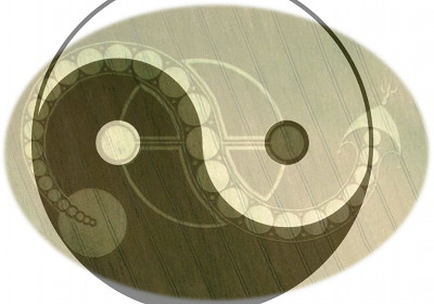 Illustration eines Yin-Yang-Symbols in nat&uuml;rliche Holzmaserung eingraviert, umgeben von einem ovalen Rahmen und subtilen ornamentalen Designs.