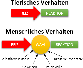 Diagramm zeigt den Unterschied zwischen tierischem und menschlichem Verhalten. Oben: Tierisches Verhalten mit einem linearen Pfeil von 'Reiz' zu 'Reaktion'. Unten: Menschliches Verhalten mit einem zentralen gelben Kreis f&uuml;r 'Wahl', umgeben von Begriffen wie 'Selbstbewusstsein', 'Kreative Phantasie', 'Gewissen' und 'Freier Wille', mit Pfeilen, die von 'Reiz' zu 'Wahl' und dann zu 'Reaktion' f&uuml;hren.