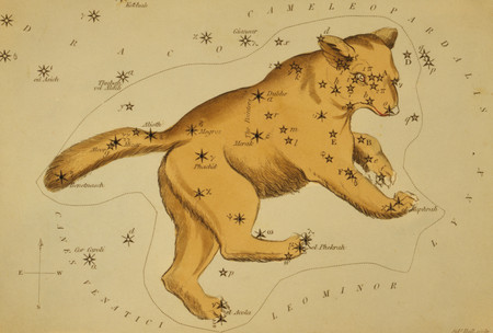 Historische Zeichnung eines L&ouml;wen, &uuml;berlagert mit Sternen, die durch Linien verbunden sind, um die Form eines Sternbildes zu zeigen. Umliegende kleinere Sternkonstellationen sind markiert und benannt, darunter Chamaeleon und Leo Minor.